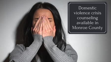 Domestic Violence crisis Counseling available in Monroe County